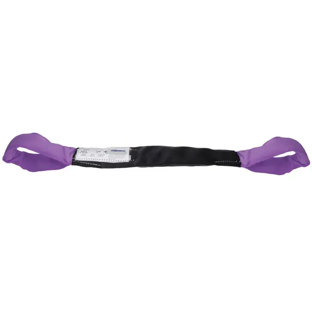 Polyester Round Eye & Eye Lifting Sling - 4' (Purple)